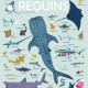 POPPIK Educational poster XXL + 45 stickers Sharks (6+ years) 