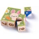 PlanToys Puzzle Cubes