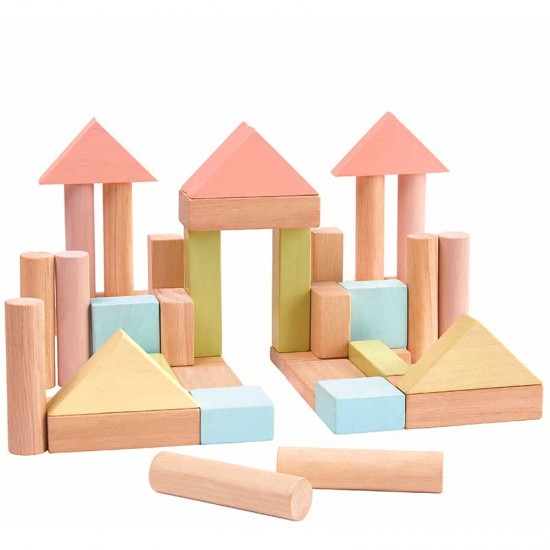 PlanToys 40 Unit Blocks